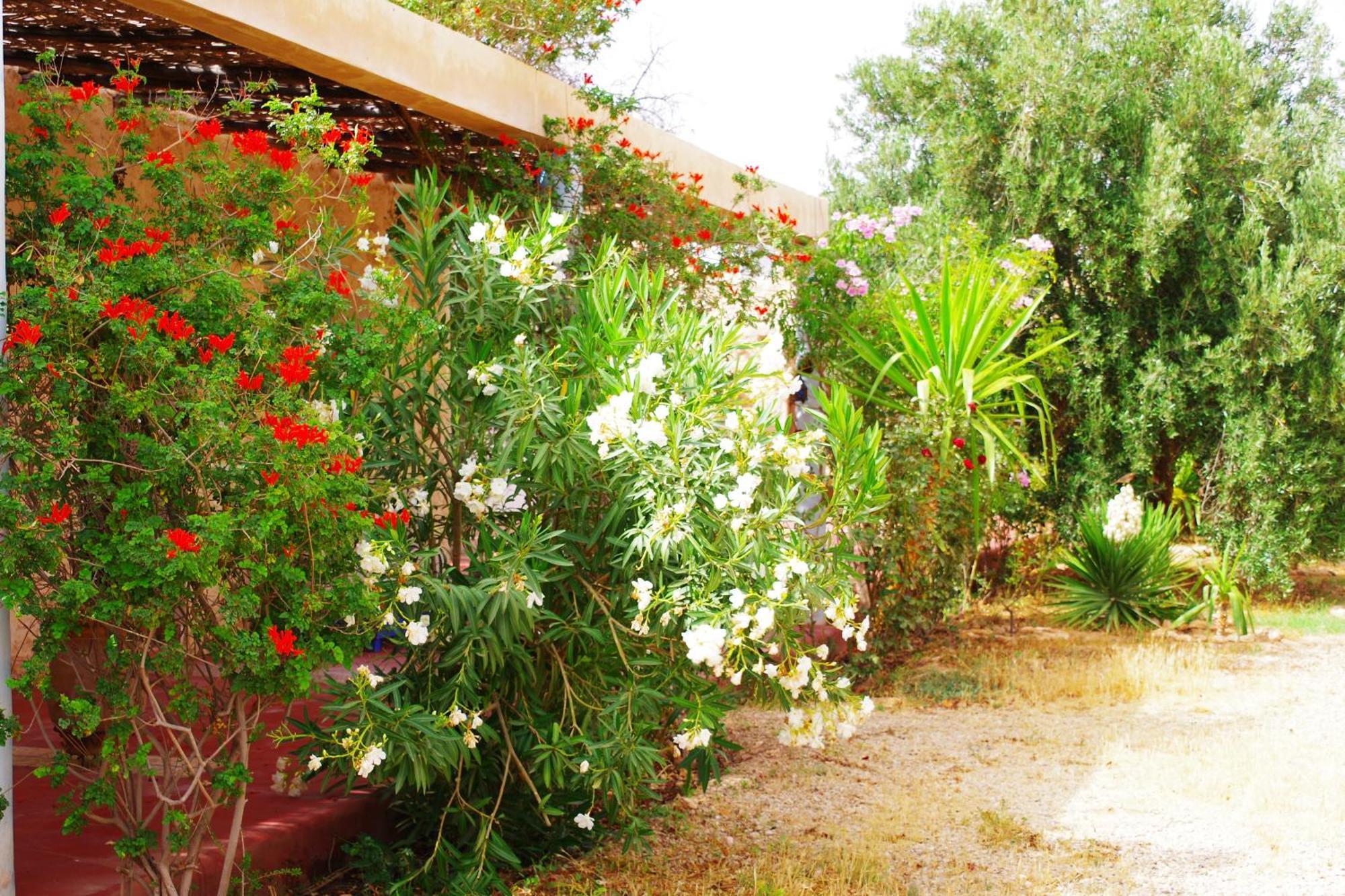 Artgana Lodge Suvayr Dış mekan fotoğraf